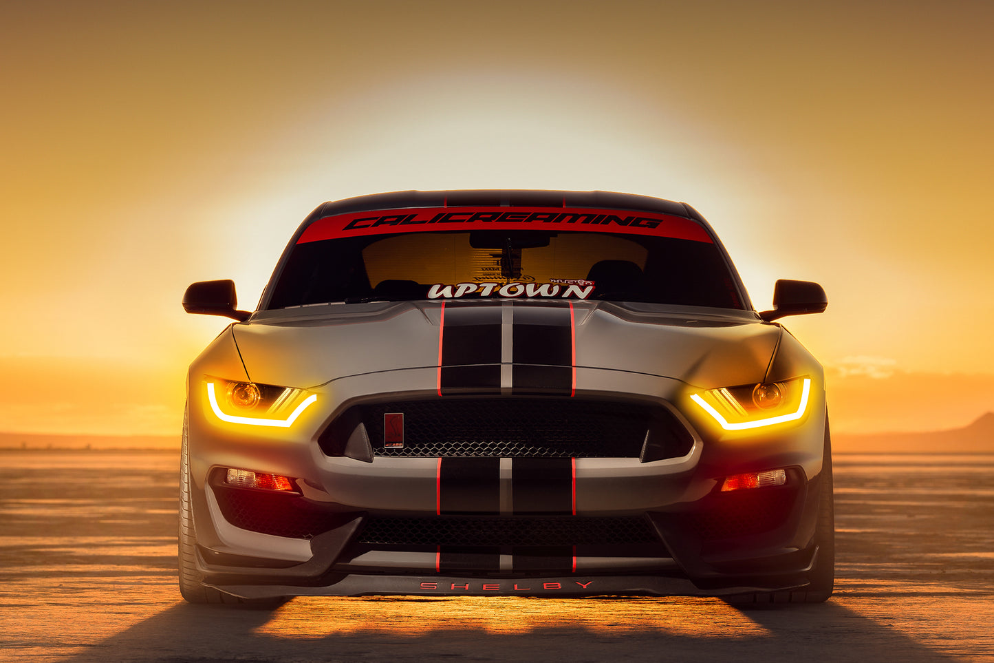 Ford Mustang Shelby GT350 | Neon Acrylic Frame