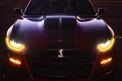 Ford Mustang Shelby GT500 | Neon Acrylic Frame