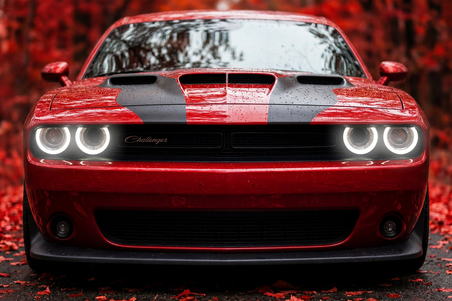 Dodge Challenger | Acrylic Neon Frame